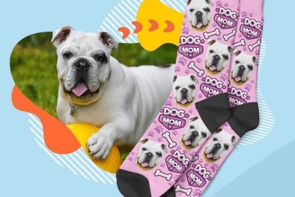 Imprimez le visage de votre animal sur vos chaussettes !