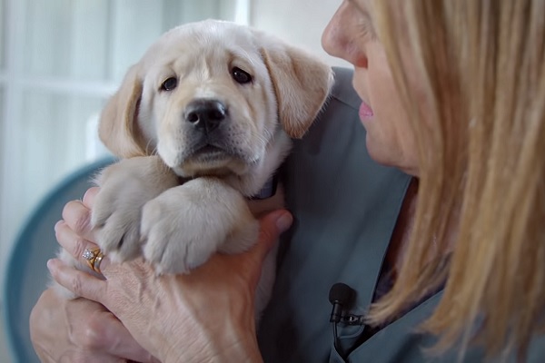 Ce documentaire Netflix va vous faire craquer