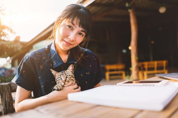 Un chat au boulot ? Moins de stress, c'est prouvé !