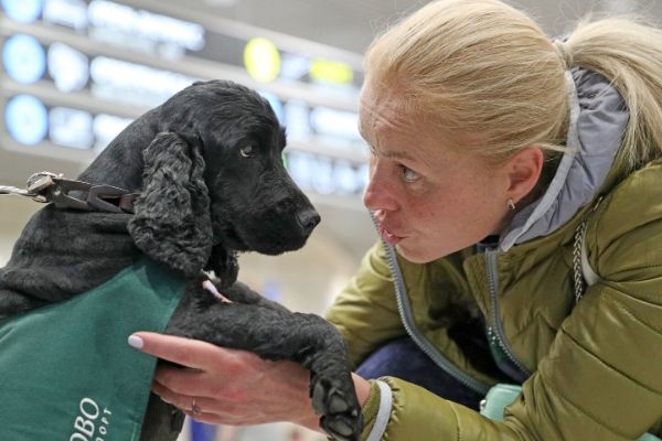Parlez à vos animaux, c’est la solution du moment !