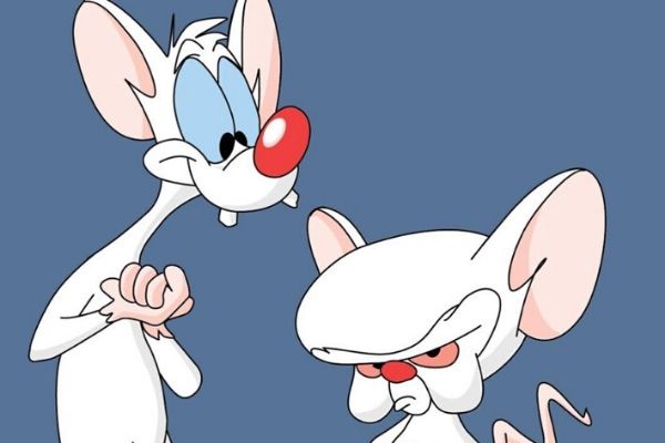 Minus et Cortex sont de retour !