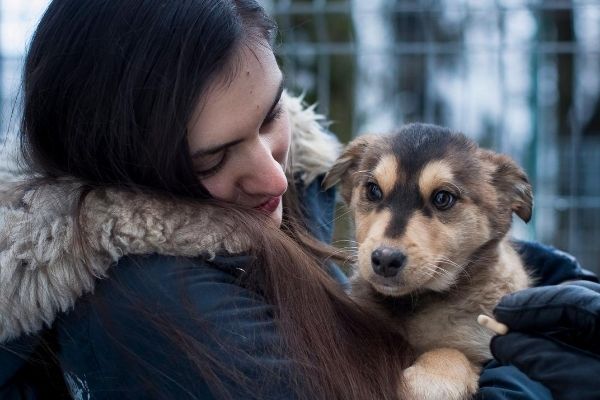 Adoptez un chien abandonné grâce à une application comme Tinder