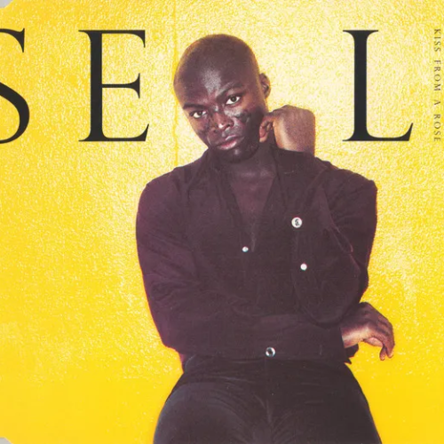 Kiss from a Rose SEAL