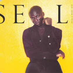 Cover Kiss from a Rose - SEAL