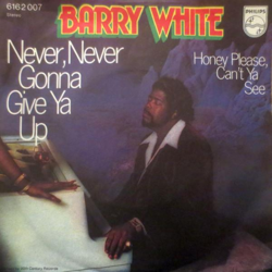 Cover Never, Never Gonna Give Ya Up - Barry White