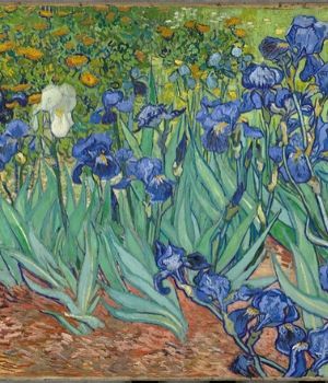Les Iris de Van Gogh