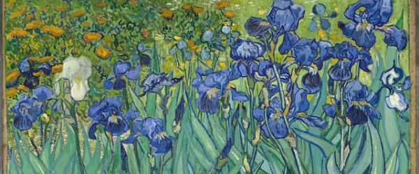 Les Iris de Van Gogh