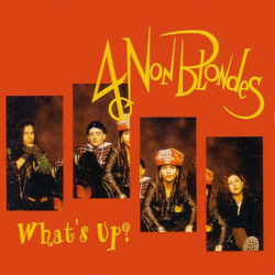 Cover What's Up? - 4 Non Blondes
