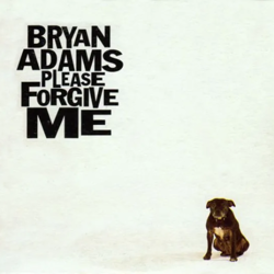 Cover Please Forgive Me - Bryan Adams