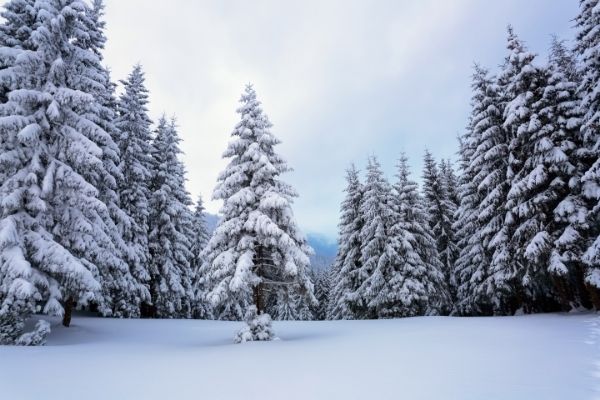 décor neige