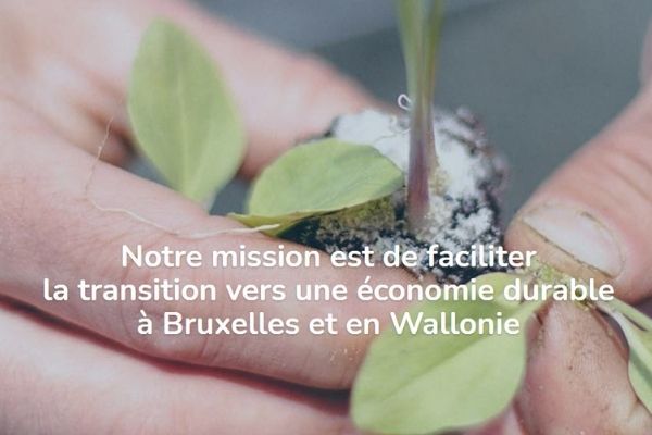 Groupe One encadre les entreprises vers la transition