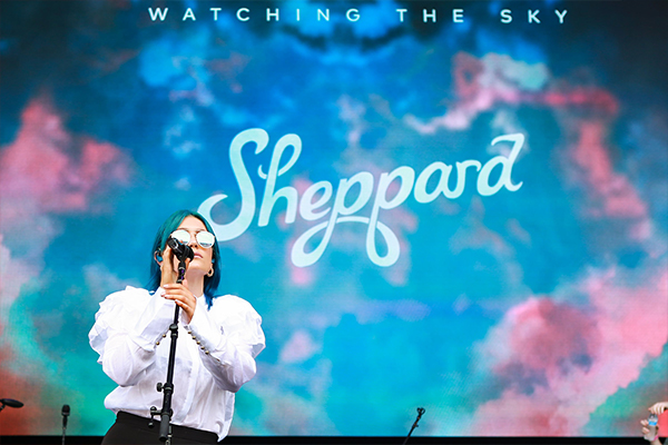 L'entrée Chérie :  Learning to fly de Sheppard