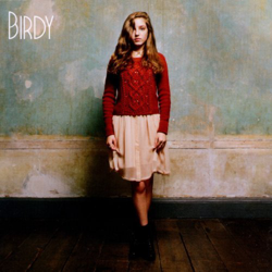 Cover Skinny Love - Birdy