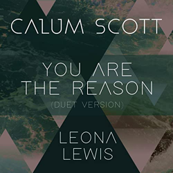 Cover You Are The Reason - Calum Scott, Leona Lewis