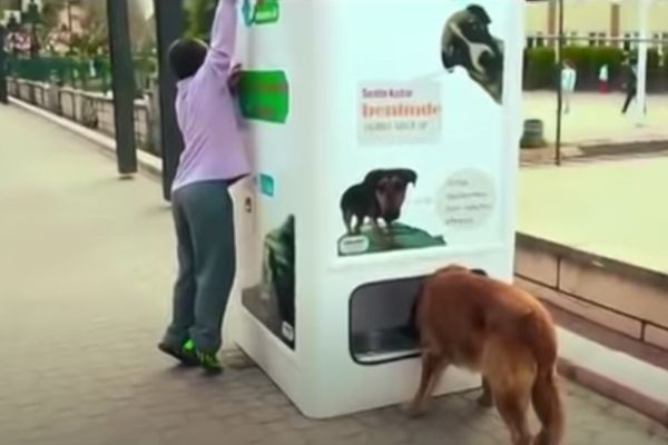 Ce distributeur de croquettes recycle le plastique