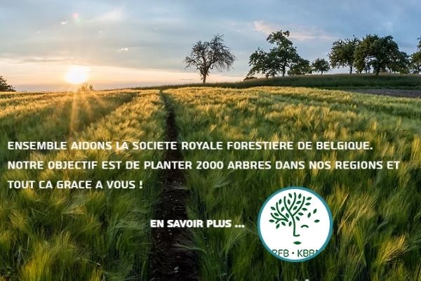 Trail Series vignette