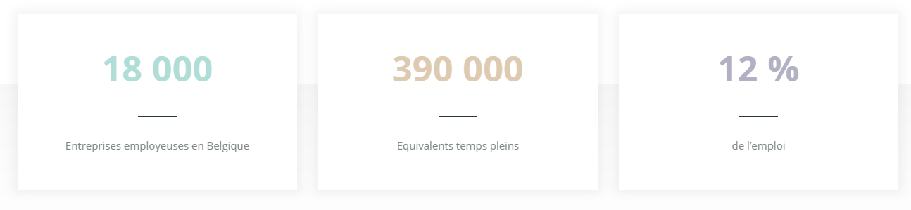 economie sociale chiffres belgique