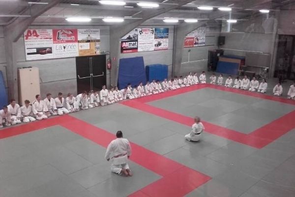 judostdenis vignette
