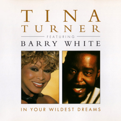 Cover In Your Wildest Dreams (feat. Barry White) - Tina Turner