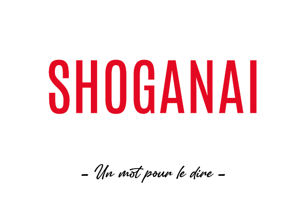 Un mot pour le dire : « Shoganai »