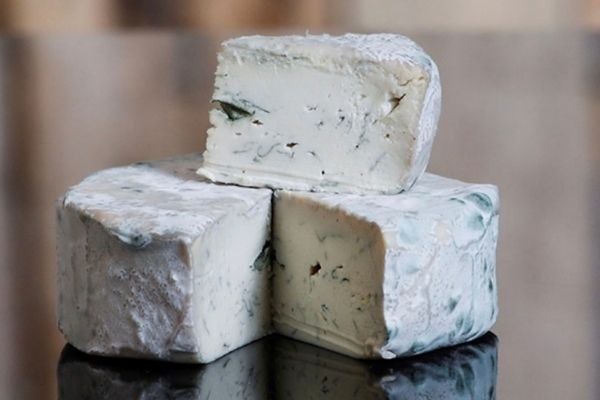 Un fromage vegan est-il un vrai fromage ?