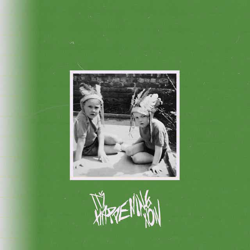 Cover Skyline - Mustii