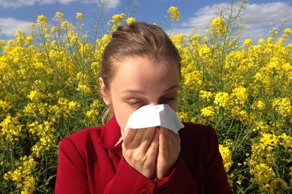 Des applis qui aident les personnes allergiques au pollen