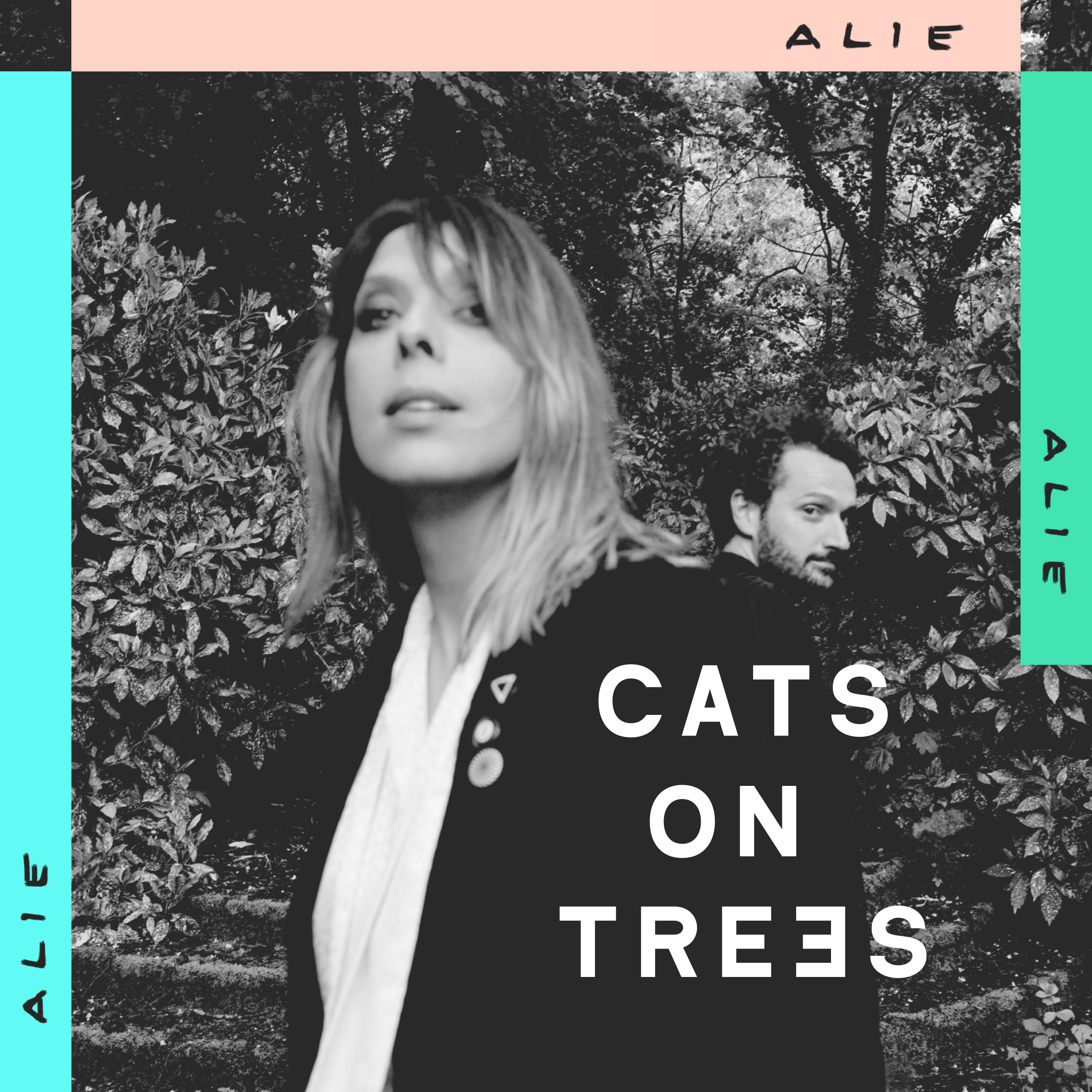 Cats On Trees - Took Took