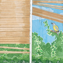 Cover Bird Sing - Anna of the North