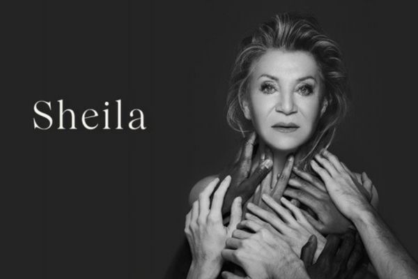 sheila511