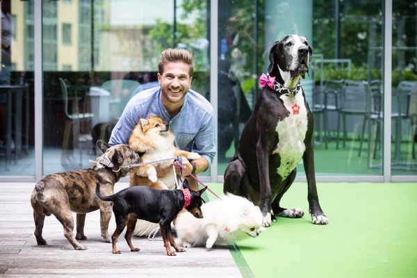"Nom d'un chien" : le premier concours canin télévisé débarque sur RTL-TVI