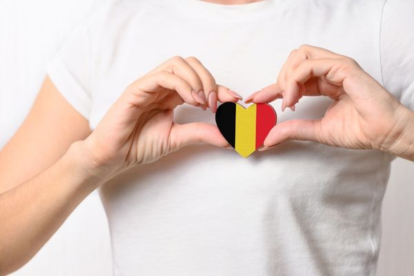 Nos parlementaires veulent "plus de Belgique" en refédéralisant certaines compétences