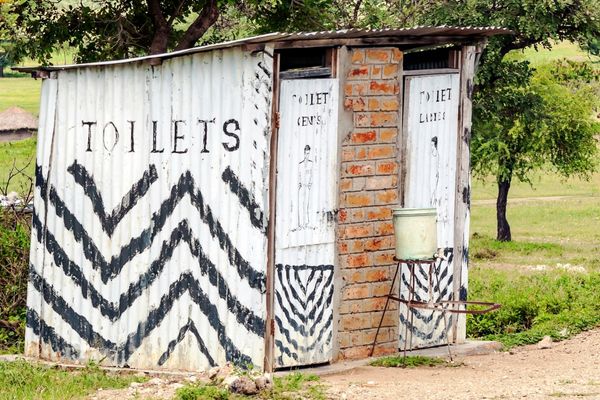 Journée mondiale des toilettes : pourquoi les WC sont si importants pour la santé et la planète