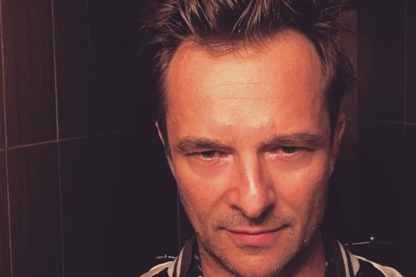 david hallyday