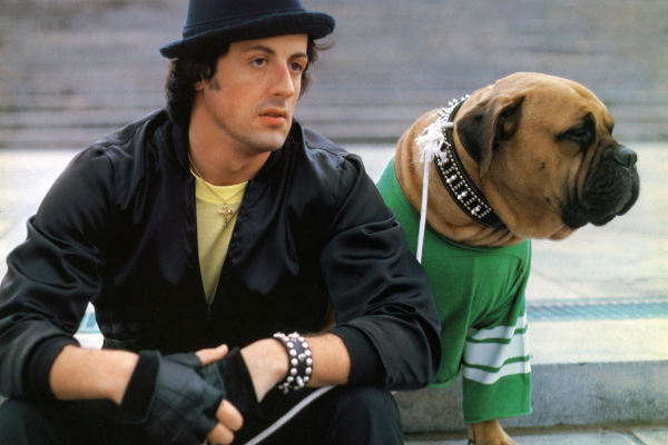 Stallone et un chien
