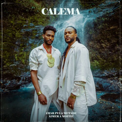 Cover Aimer à moitié - Calema