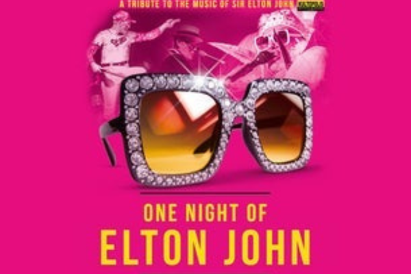 One Night Of Elton John vignette