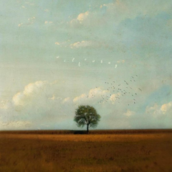 Cover Hold On, We're Going Home - Willowbay