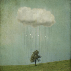 Cover Over My Head - Willowbay