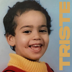 Cover Triste - Amel Bent