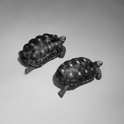 Cover Love Is a Stillness - Sam Smith