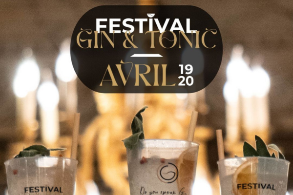 festival gin 2025 vignette