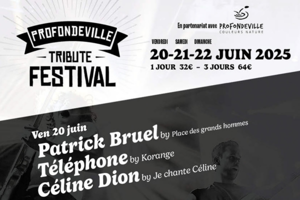 profondeville festival 2025 vignette