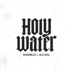 Cover Holy Water - Marshmello, Jelly Roll