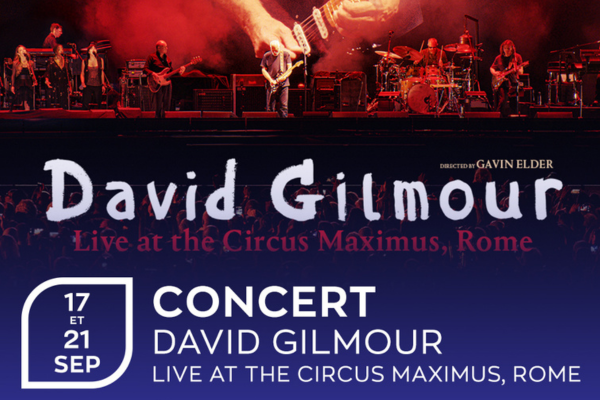 david glimour vignette