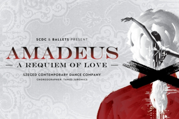 Amadeus A Requiem of Love: quand l’émotion classique enflamme la scène