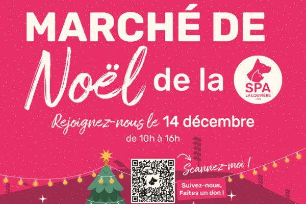 noel spa 25 vignette