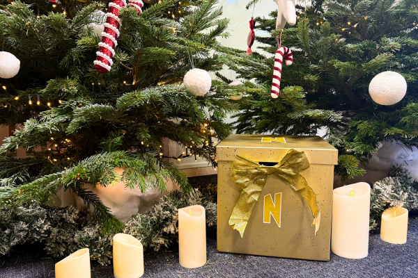 cash ou la boite noel