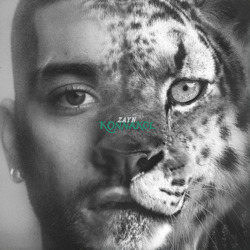 Cover Die for Me - Zayn