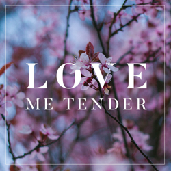 Cover Love Me Tender - Acoustic Cover - The Macarons Project